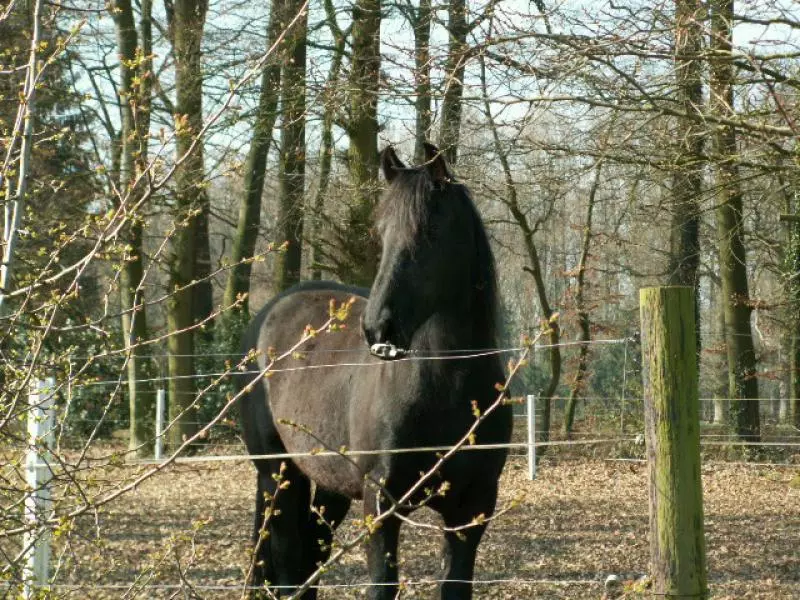 Reiturlaub in der Slowakei